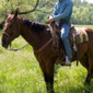 hannah-montana-the-movie-405662l-thumbnail_gallery