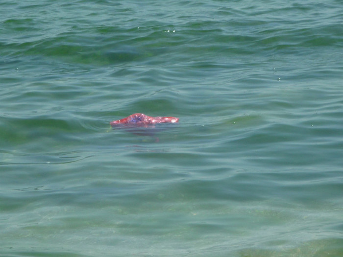 bere si apa plata :D