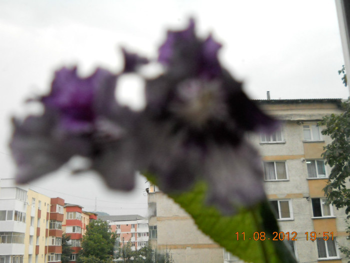 11.08.2012 006