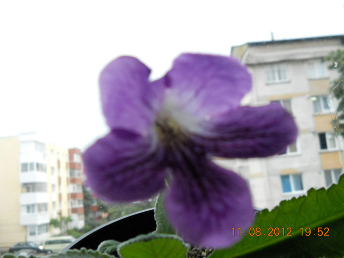 11.08.2012 009