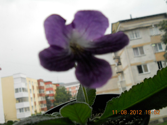 11.08.2012 010