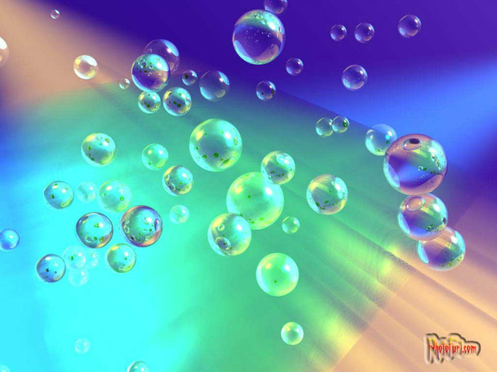 A ajuns,cu bine acasa!