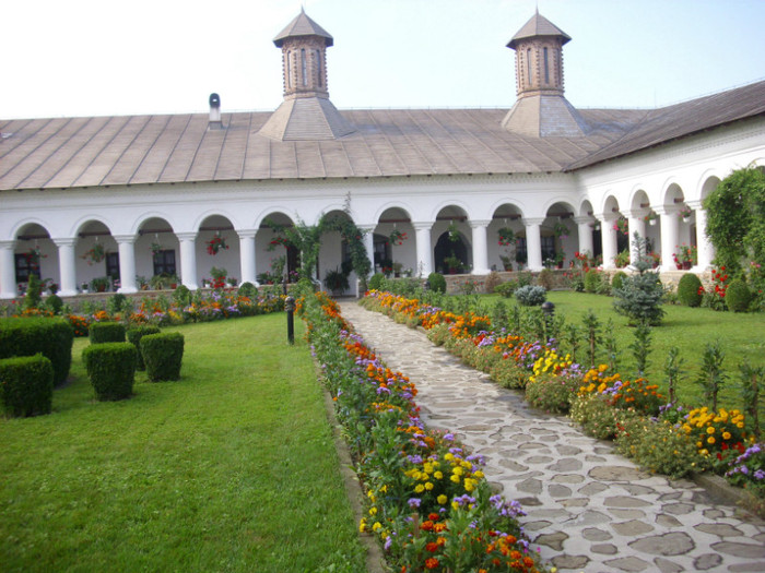 DSCI1317 - Manastirea Aninoasa