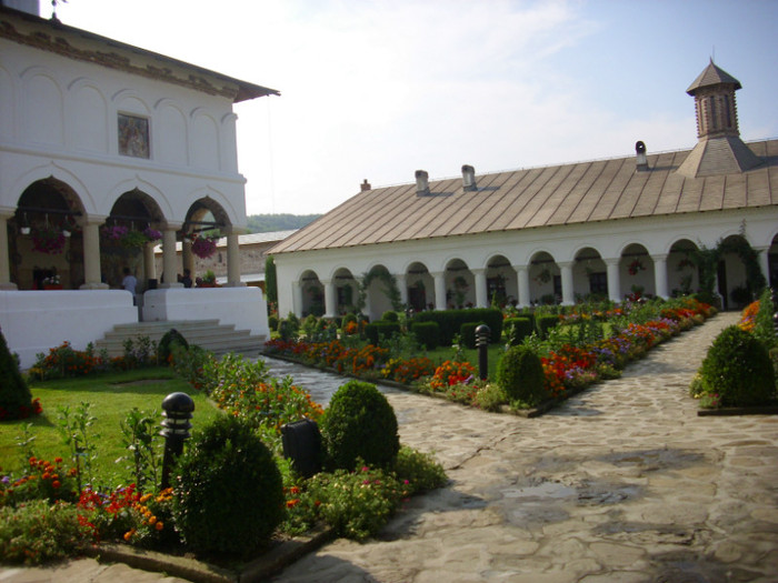 DSCI1320 - Manastirea Aninoasa