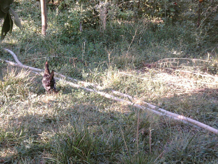Fotografii-0310