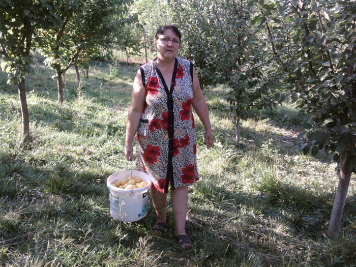 Fotografii-0311