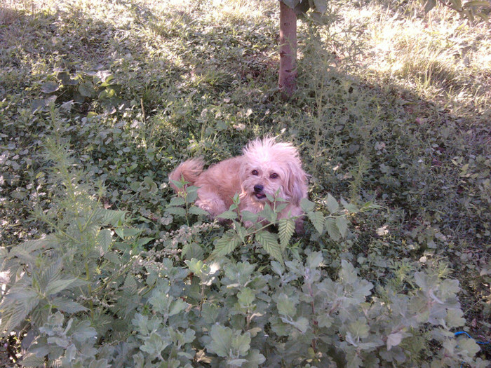 Fotografii-0316