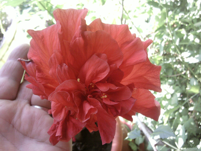 Fotografii-0326
