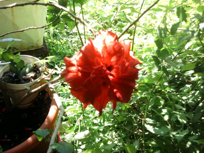 Fotografii-0327