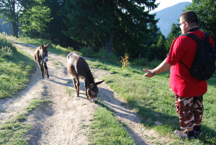 DSC_2838 - Nikon 3 Brazi