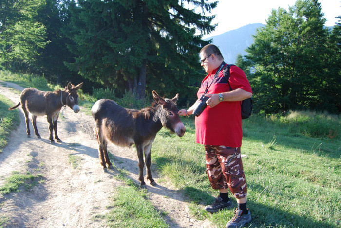 DSC_2839 - Nikon 3 Brazi