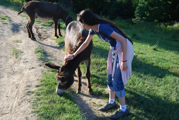 DSC_2842 - Nikon 3 Brazi