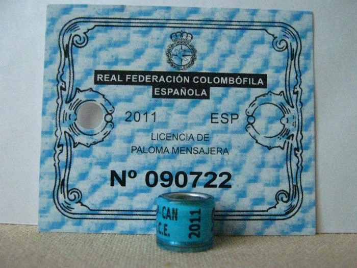 ESP-CAN R.F.C.E. 2011 - CANARIA   SPANIA