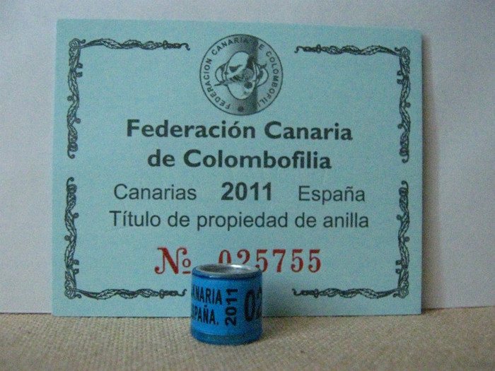 F. CANARIA C.C.ESPANA 2011 - CANARIA   SPANIA