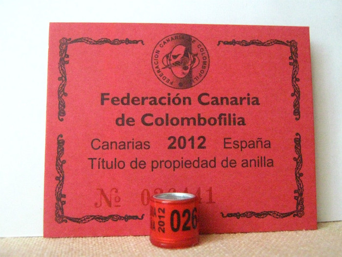 F. CANARIA C.C. ESPANA 2012 - CANARIA   SPANIA