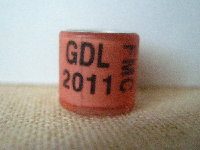 GDL 2011 FMC