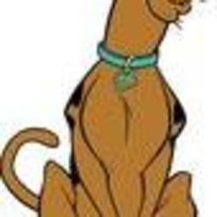 scooby-doo-where-are-you-710232l-thumbnail_gallery - Scooby-Doo