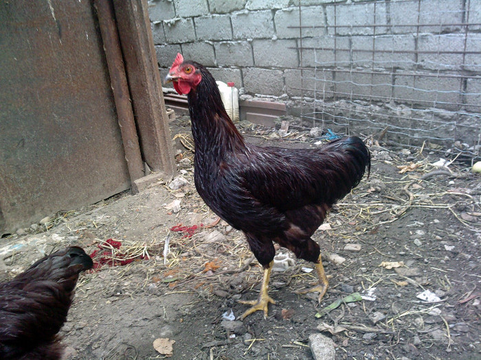 P120812_13.310001 - PUII 2012