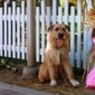 halloweentown-562504l-thumbnail_gallery