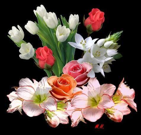 548482_394572937258934_978986044_n