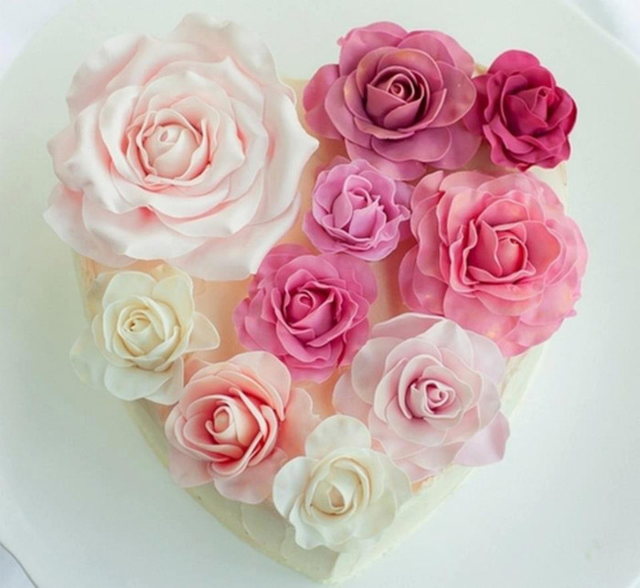 576071_448670311831537_1595752102_n