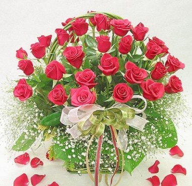 minunat-cos-cu-trandafiri-rosii_d3e1daa7cb9c43 - Trandafiri