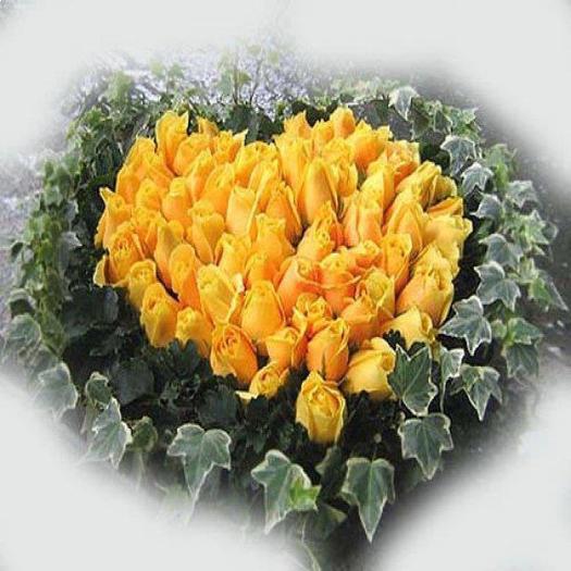 419772_409294615751009_1658187927_n