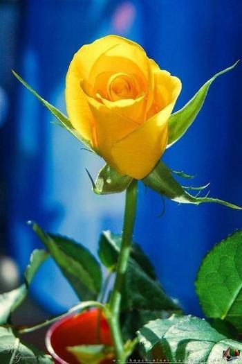 427990_409297379084066_1338313703_n