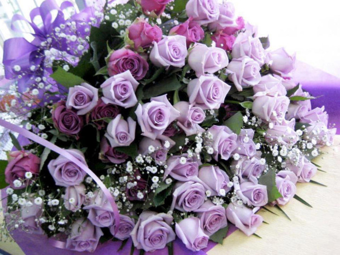 484123_483277195033025_92352479_n