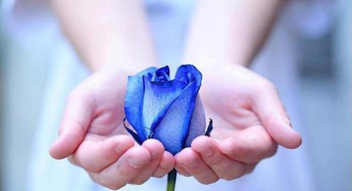 527143_292129364227960_392117279_n