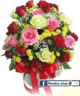 527952_294279317336781_927617997_n