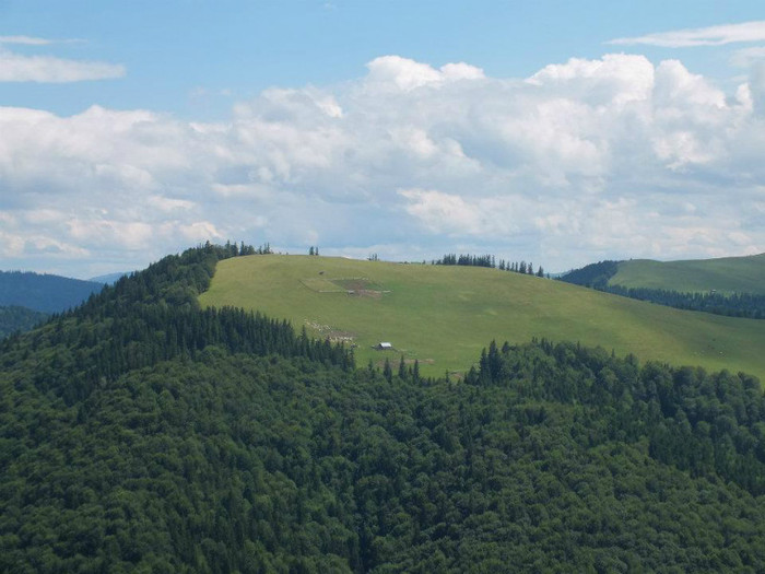 385436_457752120912053_596731316_n