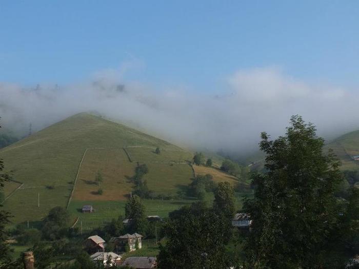 425440_457751890912076_733994700_n - GEMENEA satu meu