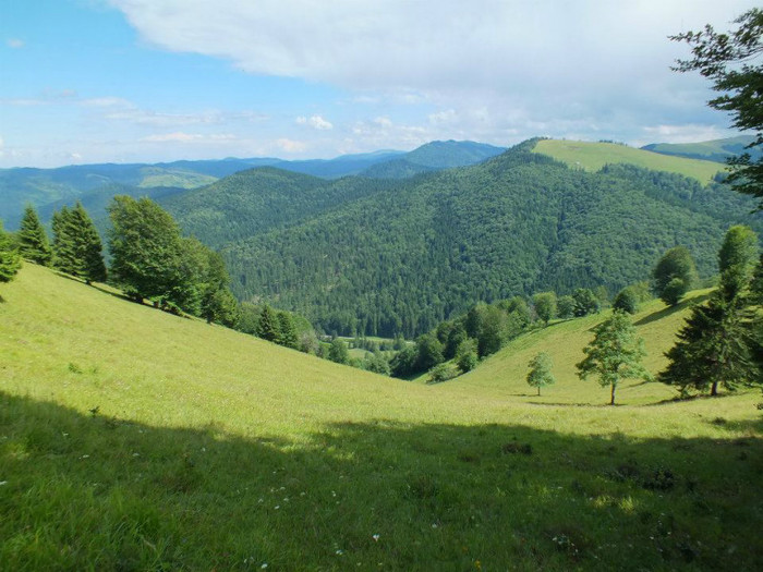 603440_457752164245382_187450512_n - GEMENEA satu meu