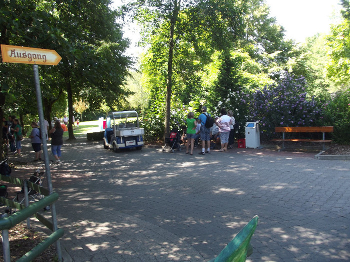 DSCF2459