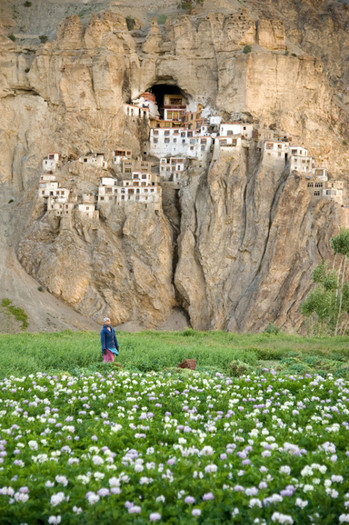 Phuktal-Gompa-Jammu-Kashmir-India - III My Love India III