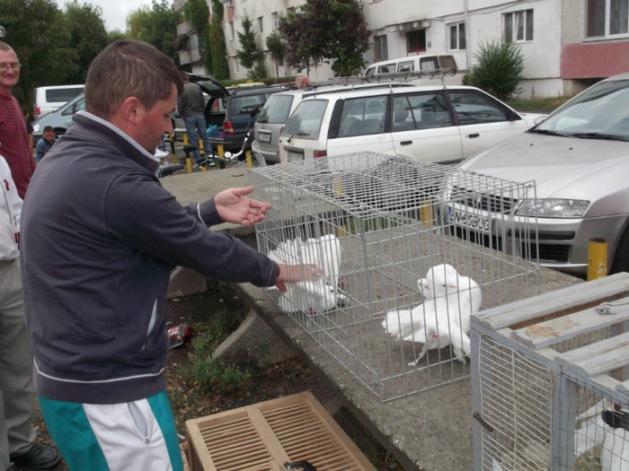 VOLTATI DE VOLTATI VOLTATI DE VOLTATI