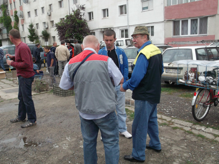 COLEGUL COCAN LA TREABA