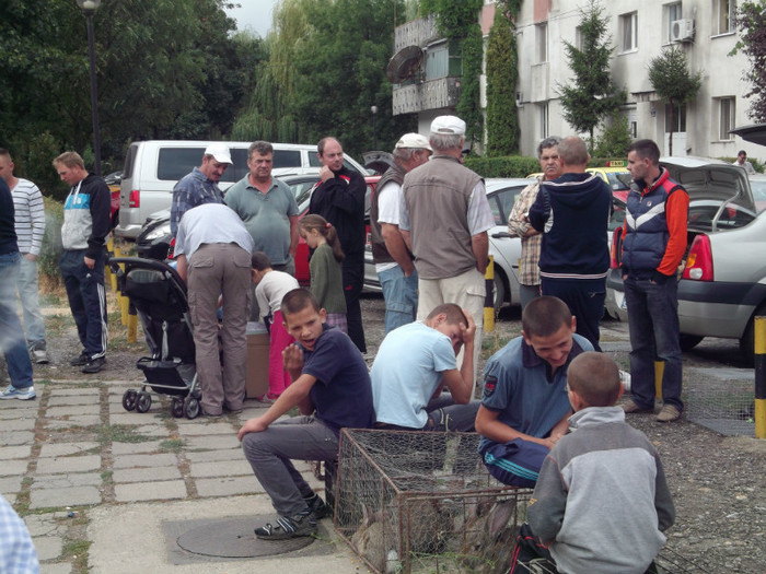 SCHIMB DE MARFA pe sectiuni