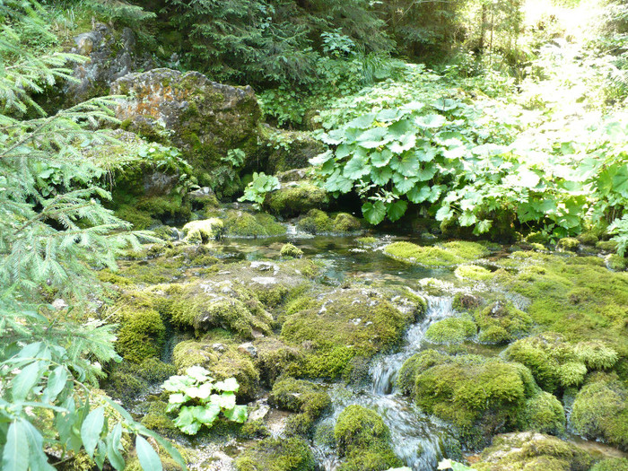 P1020504 - PADIS 2012