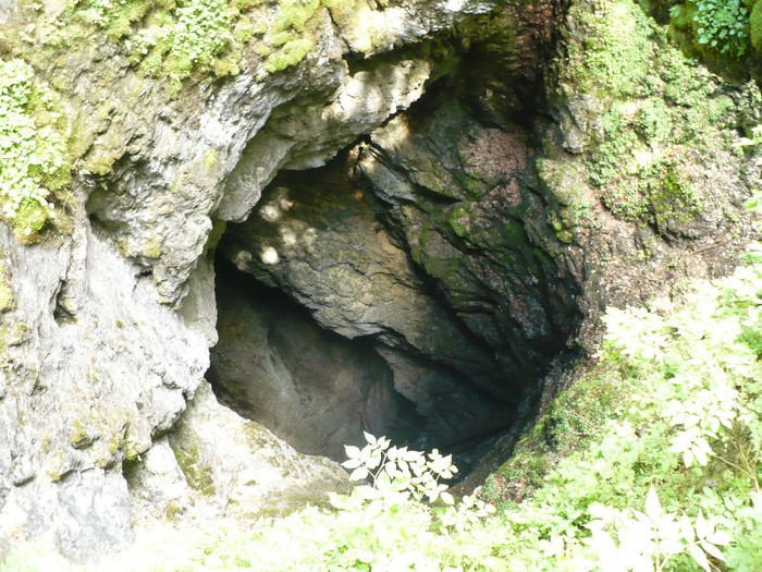 P1020506 - PADIS 2012