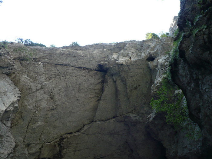 P1020510 - PADIS 2012