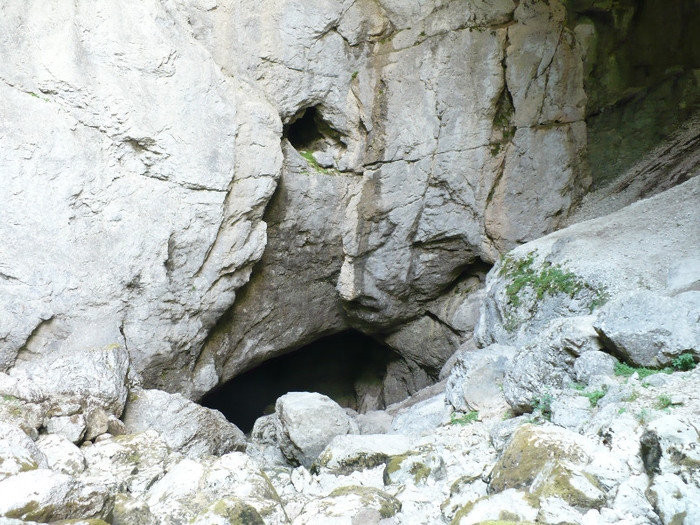 P1020511 - PADIS 2012