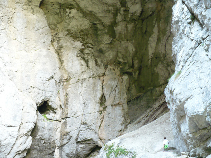 P1020512 - PADIS 2012