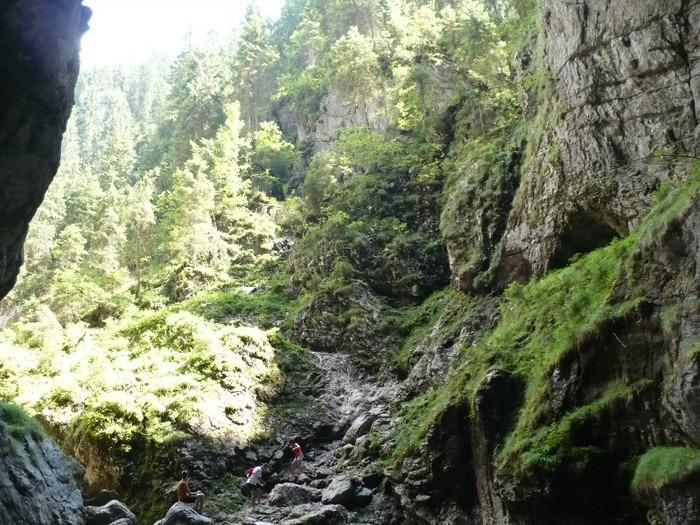 P1020515 - PADIS 2012