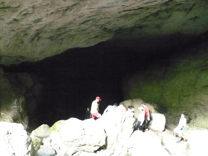 P1020517 - PADIS 2012