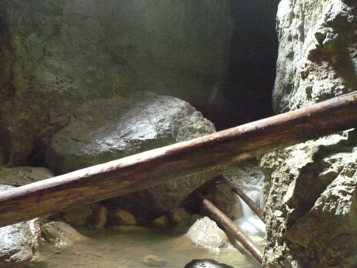 P1020518 - PADIS 2012