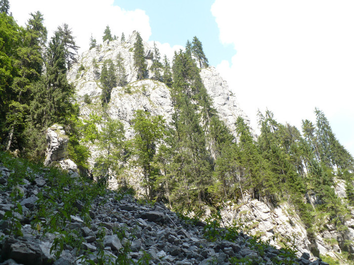 P1020529 - PADIS 2012