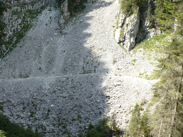 P1020530 - PADIS 2012