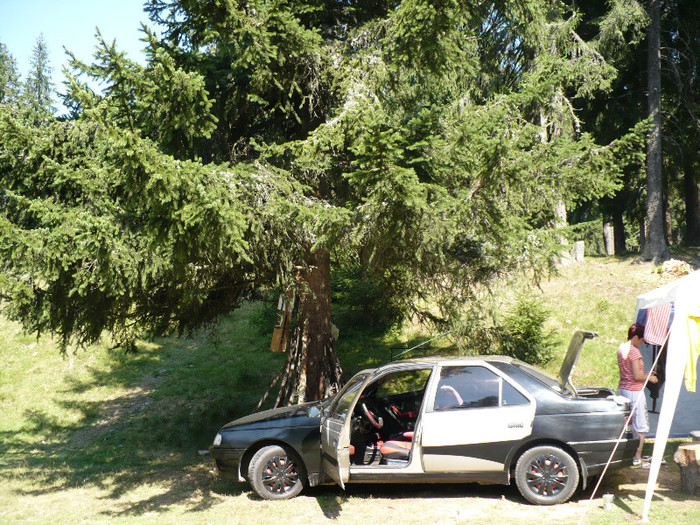 P1020554 - PADIS 2012